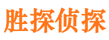 龙州寻人公司